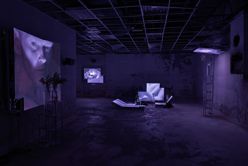 Exchange program between macLYON and the Cultural Center of Belgrade and the October Salon Collection